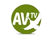 AV TV